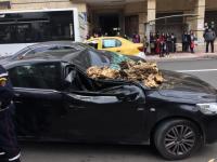 سقوط مفاجئ لشجرة ضخمة كاد يتسبب في كارثة بتطوان (صور)