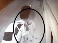 "الكار" و"تكساس" في قبضة أمن طنجة