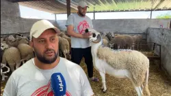 واش مبغيتوش الشناق يربح.. كساب للمغاربة:الخير موجود وكل شي غادي يشري الأضحية ديالو على قد حالو