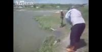 بالفيديو.. أغرب طريقة لاصطياد الأسماك