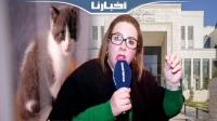 أول تصريح لرئيس جمعية الرفق بالحيوان بعد الحكم بالحبس على قاتل قطة بتطوان