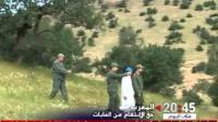 الملك الغابوي .. بين حق الانتفاع وحق التملك
