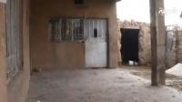الجريمة \"الابشع\" في 2011