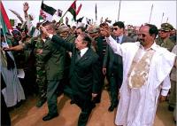الإصلاحات الدستورية بالمغرب تربك البوليساريو 