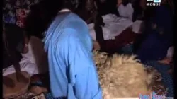 الصحراويون والتبلاح