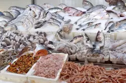 "أخبارنا" في جولة بأحد أسواق طنجة للتعرّف على أسعار الأسماك تزامنا مع حلول شهر رمضان