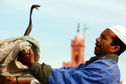 من الأرشيف