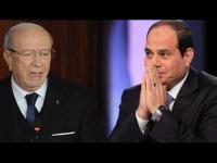 خطأ فادح من السيسي... يتسبب فى سب الرئيس التونسي فخامة (الرخيص)!