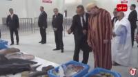 الملك محمد السادس يدشن سوقا جديدا للسمك بميناء الداخلة بمواصفات دولية