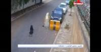بالفيديو.. سائق تاكسي يختطف حقيبة فتاة ويسحلها وراءه لعشرات الأمتار