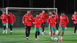 خبر سار للأسود قبل انطلاق منافسات كأس إفريقيا