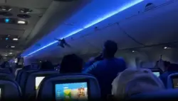 حمامتان تثيران الفوضى داخل طائرة أمريكية وتؤخران الرحلة ساعة كاملة