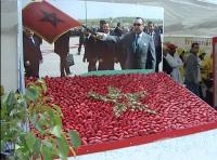 مهرجان توت الأرض‏