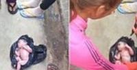 بالفيديو والصور.. العثور على طفل حديث الولادة فى كيس زبالة أسود