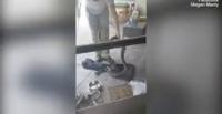 بالفيديو والصور.. أم تمسك بثعبان ضخم حاول الاقتراب من طفلها