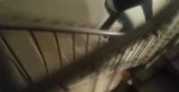 بالفيديو.. معركة شرسة بين رجل وفأر
