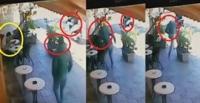 بالفيديو.. لحظة سرقة هاتف من يد صاحبه أثناء جلوسه على أحد المقاهي