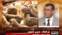 التكلفة الاقتصادية لعيد الأضحى