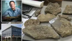خطأ كارثي.. شركة توصيل تلقي أحافير نادرة عمرها 380 مليون سنة في مكب للنفايات