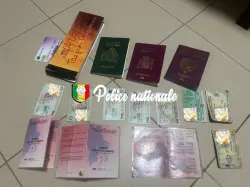 المغرب يقود السينغال إلى تفكيك شبكة كبرى للاتجار في المخدرات متوغلة في أعماق افريقيا
