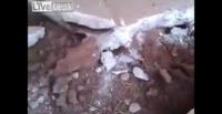 بالفيديو.. رجل يكتشف مفاجأة أسفل أرضية حديقته