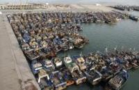 أخنوش يكشف عن مشاريع لتطوير الصيد البحري والفلاحة بالأقاليم الجنوبية