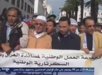 تضامن المغاربة مع غزة على الجزيرة