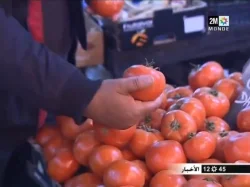 أسعار الطماطم ترتفع في الأسواق المغربية‏