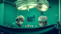 تجربة مثيرة للجدل .. علماء يطورون أعضاء بشرية في الحيوانات