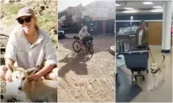 تبعها طيلة رحلتها على الدراجة الهوائية بالمغرب.. مؤثرة أمريكية تتبنى كلبا ضالا وتغير حياته للأفضل تماما