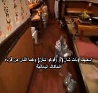 مطعم ياباني يُوَظِّف قردين لخدمة الزبائن
