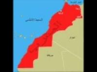 أقوى رد مغربي بطريقة عصام شوالي على قطر
