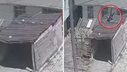 مشهد صادم .. رجل يقفز من النافذة هرباً من زلزال عنيف