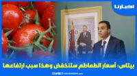 بايتاس: أسعار الطماطم ستنخفض خلال اليومين القادمين وهذا سبب ارتفاعها