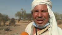 بعد إلغائه بسبب كورونا .. مواطن مغربي يتبرع بمال الحج لمبادرة تستحق كل التشجيع (فيديو)