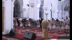 فضل ليالي العشر الأواخر من رمضان