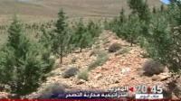 جهود محاربة التصحر في المغرب
