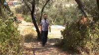 المغرب.. المرشحون يغازلون القرويين