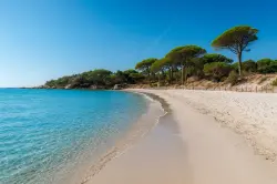 فرنسا تفرض غرامات على التجول دون قمصان خارج الشاطئ خلال الصيف