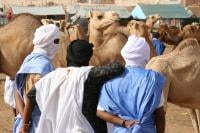 صفعة في وجه البوليساريو : الوسيط الأممي يكشف عن استحالة تكوين دولة قائمة الأركان بالصحراء المغربية