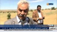 الجزائر و الجراد المغربي : اول مرة نعرف أن الجراد له جنسية !