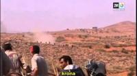تحالف الإرهاب والبوليساريو