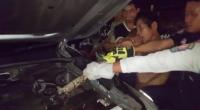 بالفيديو: عامل يعض ثعباناً من ذيله بعدما التف حول محرك سيارة