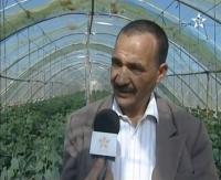 زراعة وانتاج الخضروات في البيوت البلاستيكية