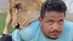 فيديو صادم لأسد يهاجم عاملاً مصرياً يثير غضباً واسعاً في ليبيا
