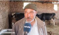 روبورطاج : مع استمرار "حملة المقاطعة"...هذا ماصرح به فلاحون ورئيس تعاونية لجمع الحليب