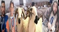 كساب : كنتمناو من سيدنا يعطي للناس تشري الأضحية وأغلى حولي عندنا واصل ل 7 ديال مليون