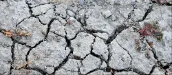 الجفاف في ألمانيا وأوروبا يرفع الأسعار ويرهق جيب المواطن