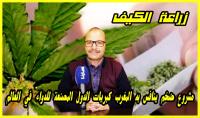 المحرشي يتحدث عن مشروع ضخم سيجعل من كتامة والمناطق المجاورة قبلة خاصة لأكبر الشركات العالمية المصعنة للدواء