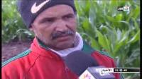 أجواء ممطرة في زمن الحصاد بالبيضاء
